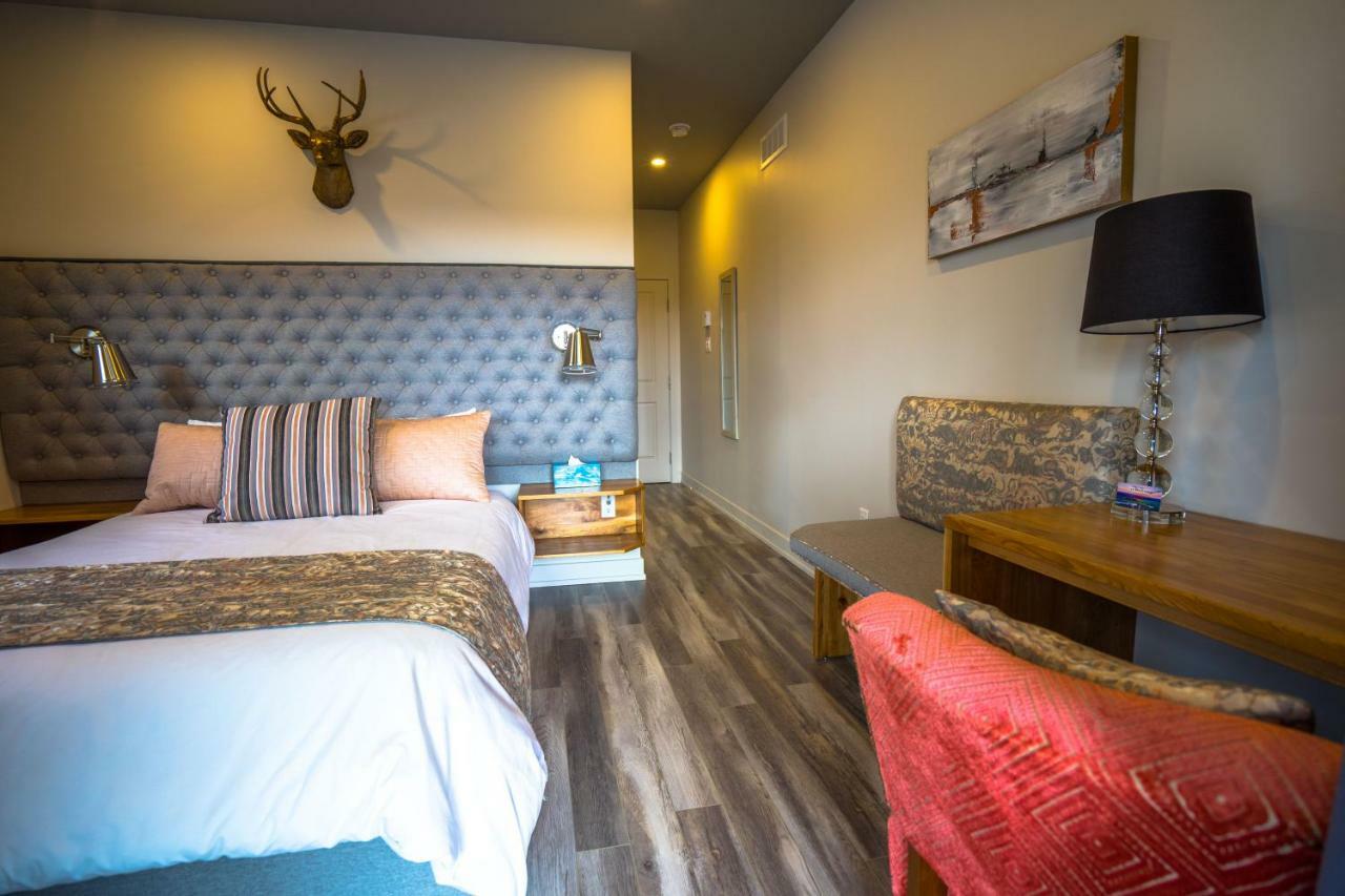ويكفيلد Le Bellevue Modern Lodge المظهر الخارجي الصورة